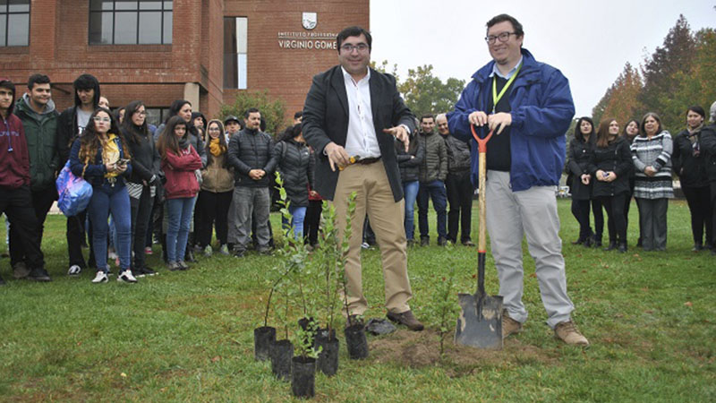 IP Virginio Gómez planta árboles nativos en sede de Chillán