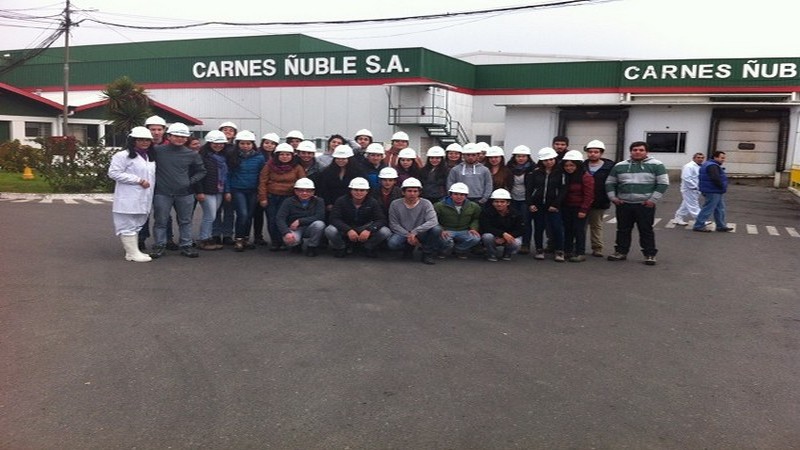 Alumnos  de Prevención de Riesgos  visitaron  empresa  Carnes Ñuble