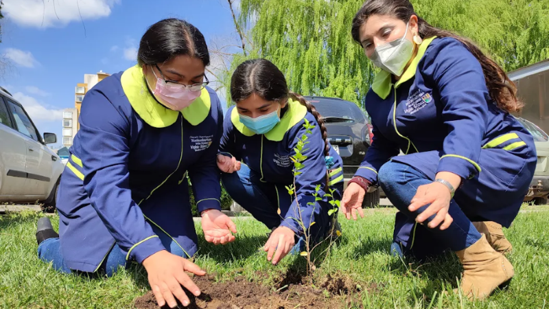 TNS en Educación de Párvulos de la sede Los Ángeles se compromete en el cuidado de árbol nativo