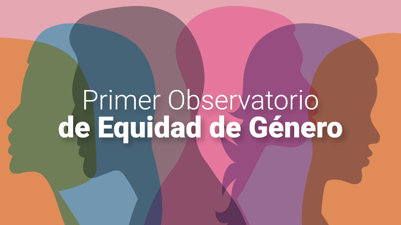 IPVG define el funcionamiento de su primer Observatorio de Equidad de Género