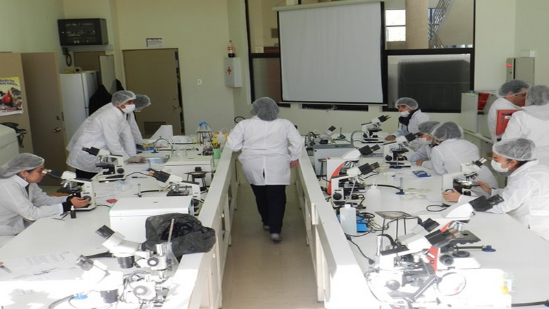 Colegios participan en talleres del Técnico en Industria Alimentaria de Chillán