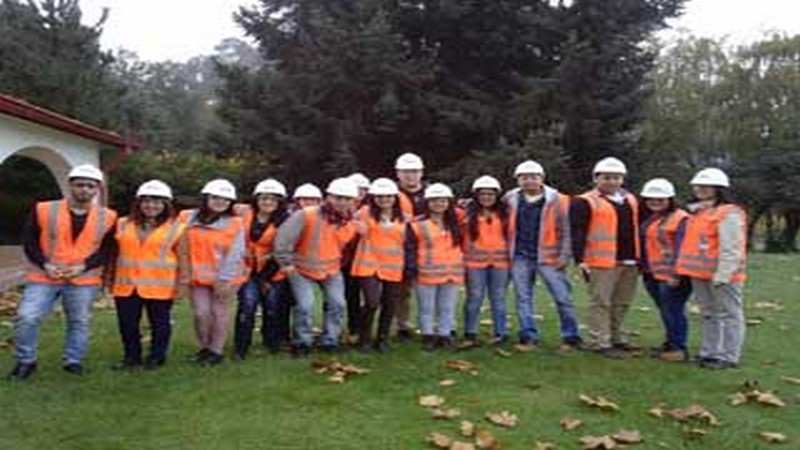 Estudiantes de Relaciones Públicas visitaron empresa Arauco y Constitución S.A.