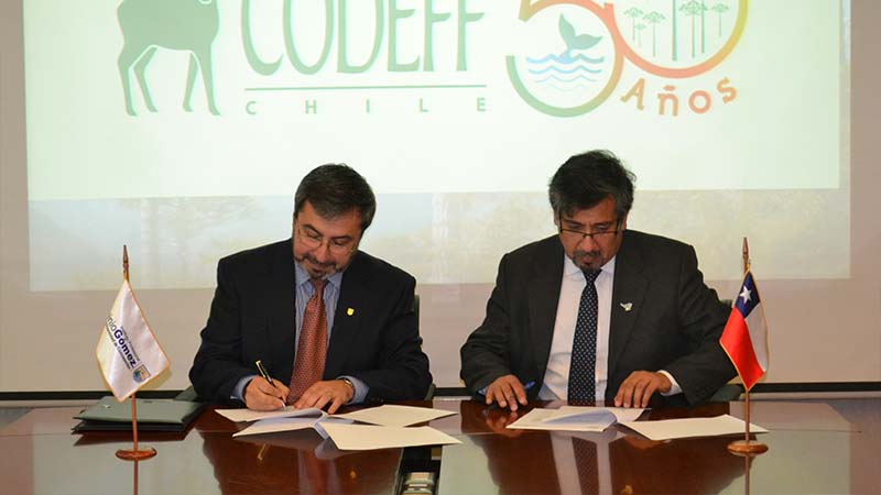 Instituto Virginio Gómez firmó convenio con Codeff